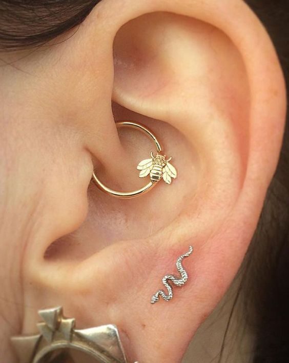 Piercing daith animais