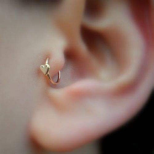 piercing tragus