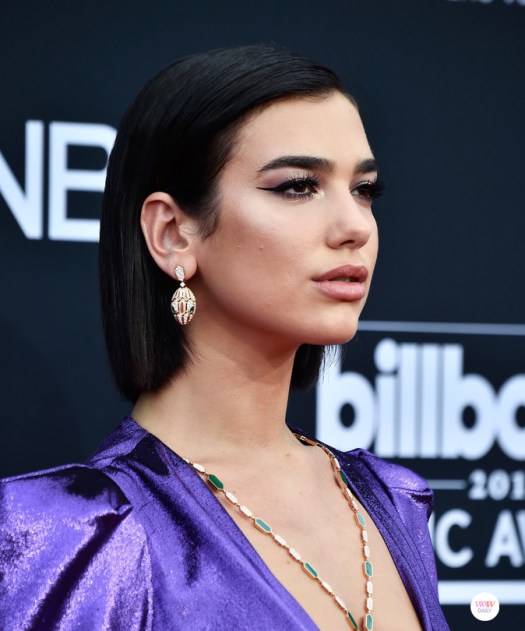 Dua Lipa Brinco Serpente