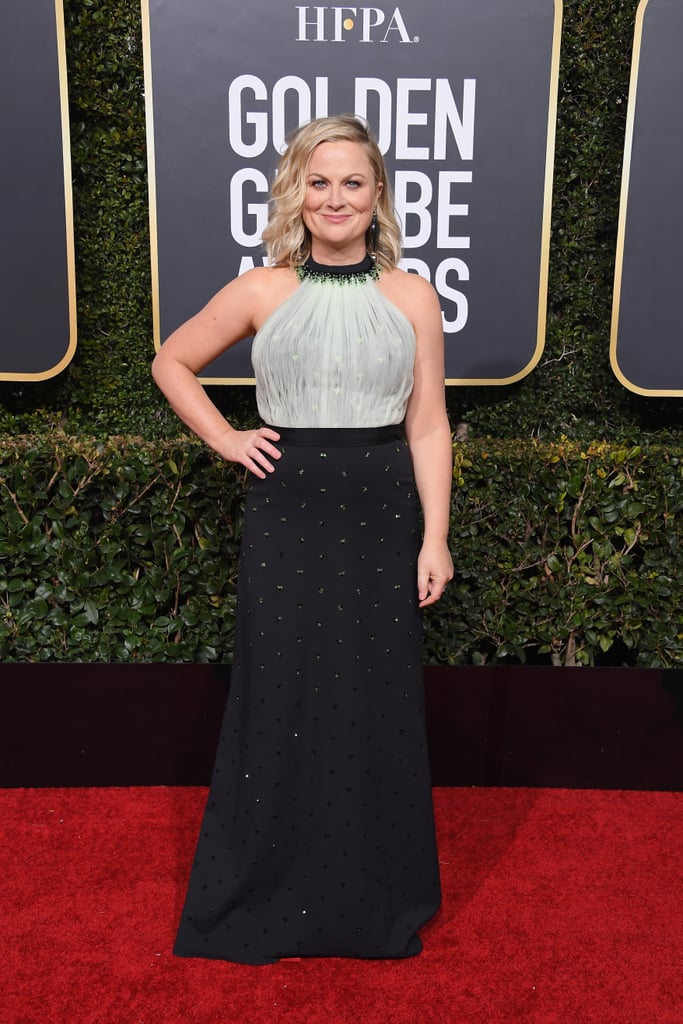 Globo de Ouro 2019 Amy Poehler