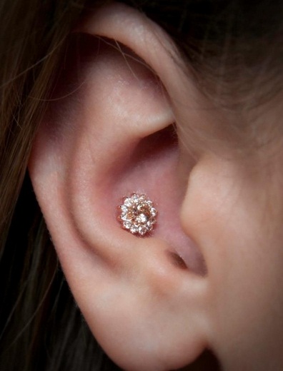 conch piercing brilhante