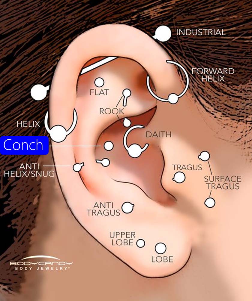 onde e piercing no conch