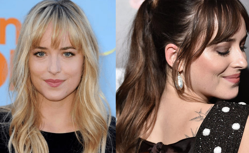 loira ou morena dakota johnson