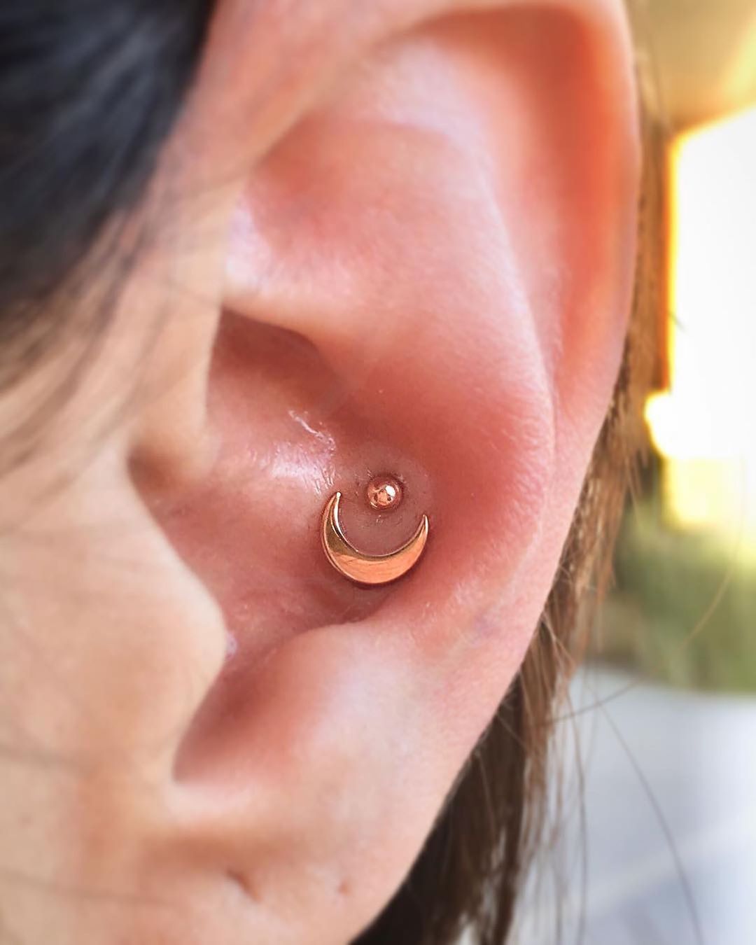 piercing no conch