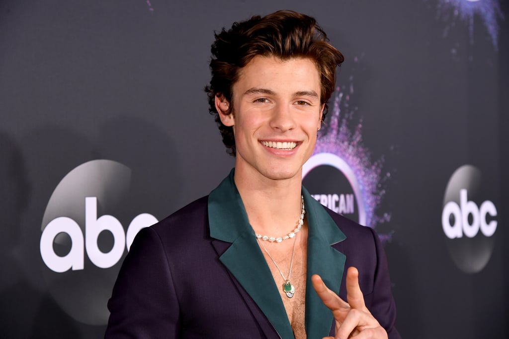 shawn mendes suit at american music awards 2019 